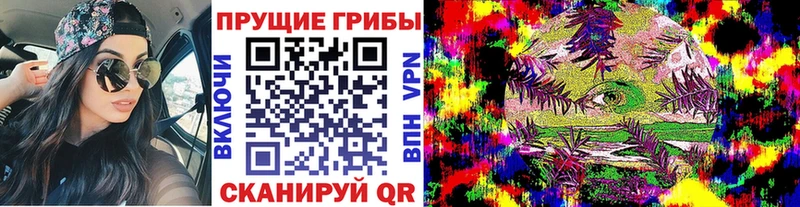 Галлюциногенные грибы прущие грибы  цены   Уфа 